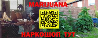 гашик Кандалакша
