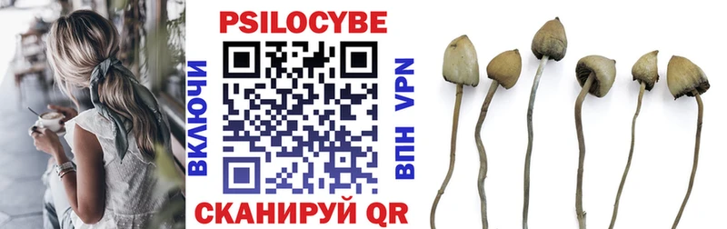 Галлюциногенные грибы Magic Shrooms  гидра сайт  Красноярск  цены  
