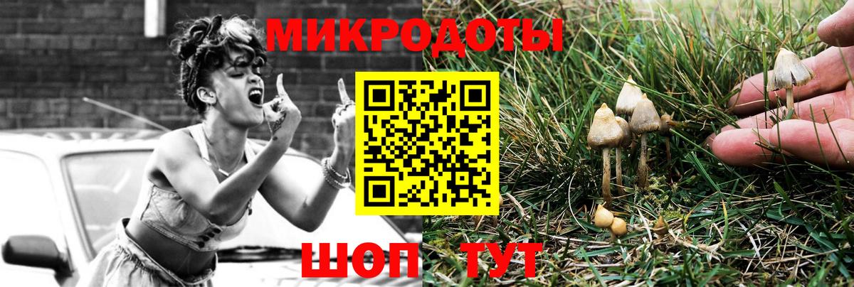 магазин    Псилоцибиновые грибы Cubensis  Вход с VPN  Красноярск 