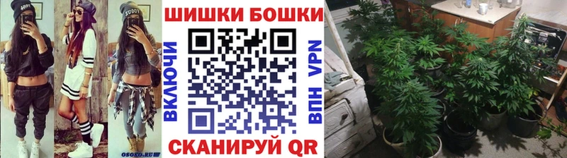 Бошки Шишки индика  купить наркотик  Красноярск 